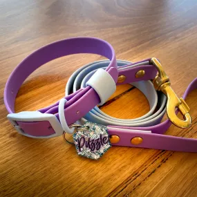 Puppy Pack - Collar and Custom Tag (MINIMUM ORDER IS 3 PACKS)